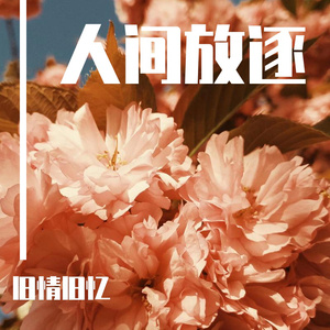 玩爽japanese性妇
